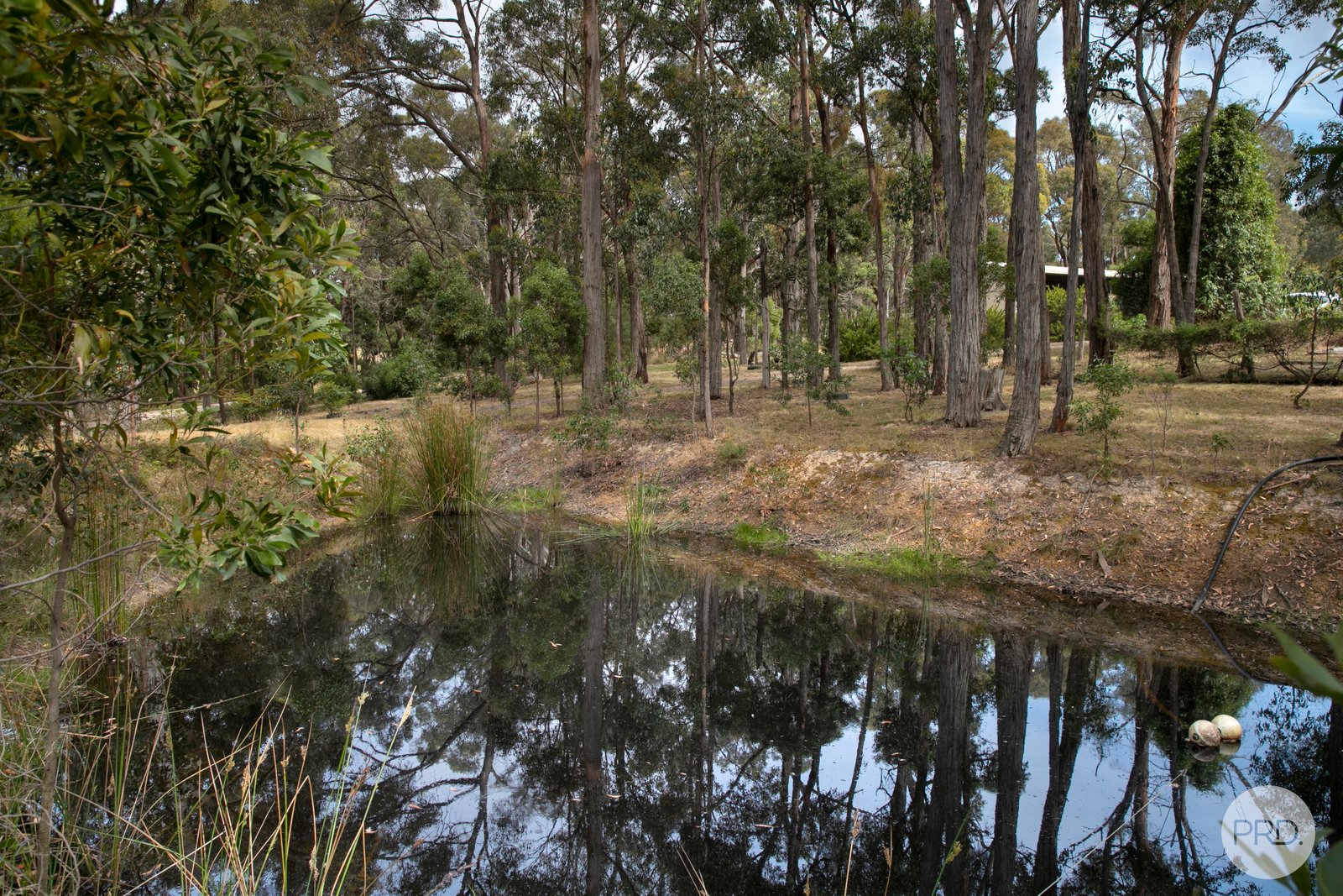 55 Eaglehawk Road LAL LAL 16