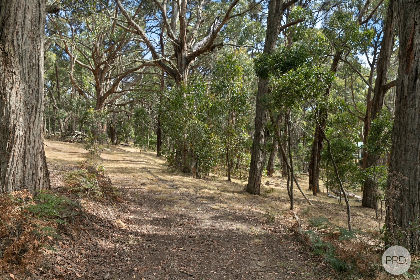 55 Eaglehawk Road LAL LAL 17