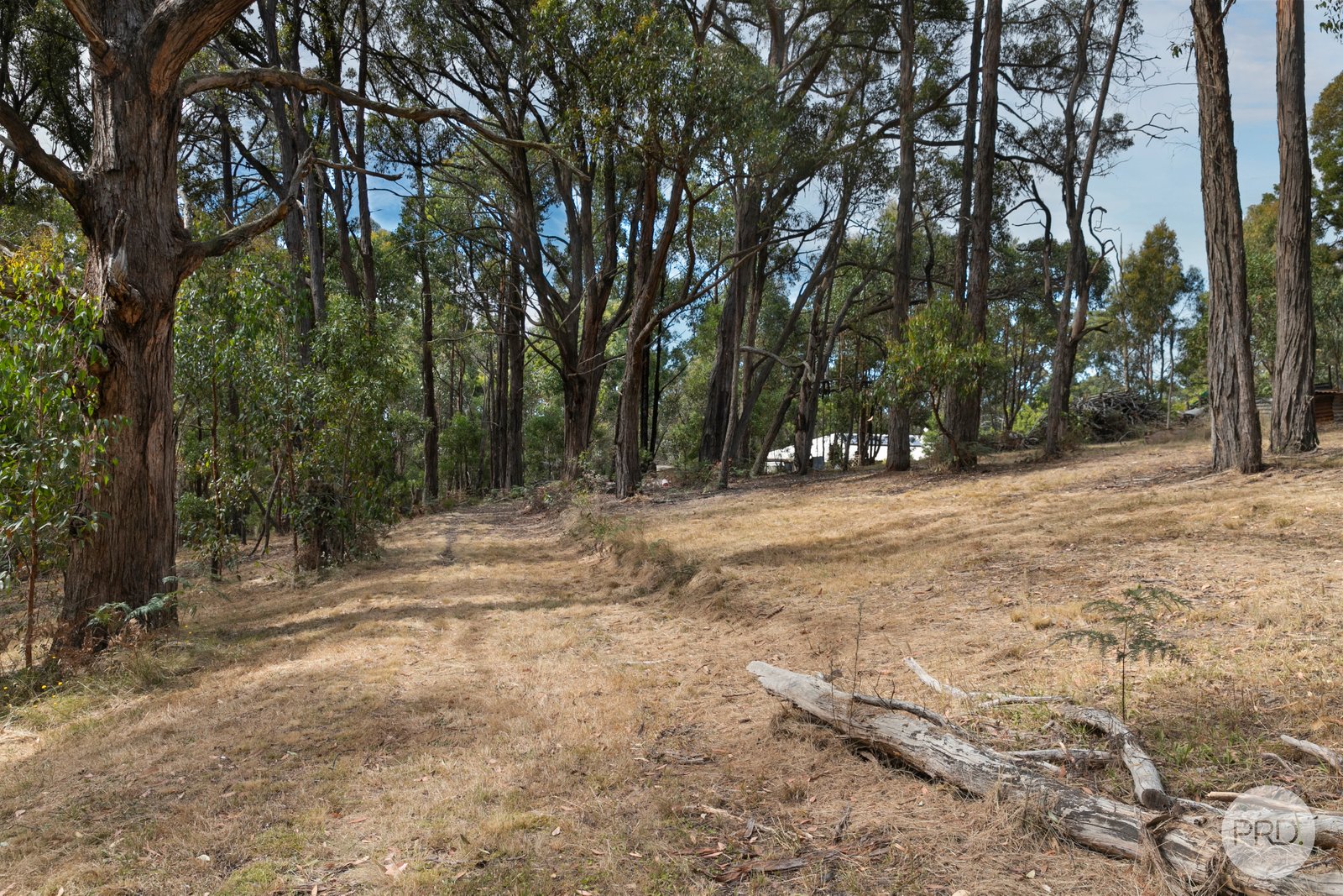 55 Eaglehawk Road LAL LAL 18