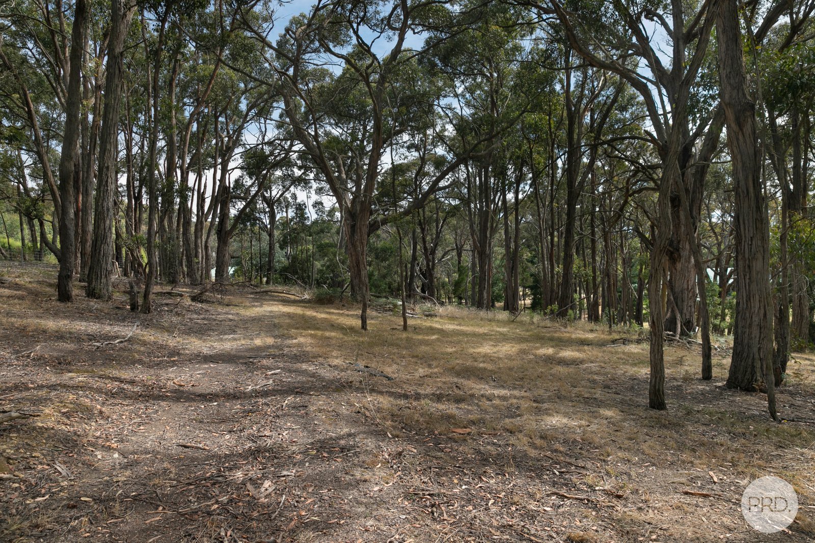 55 Eaglehawk Road LAL LAL 19