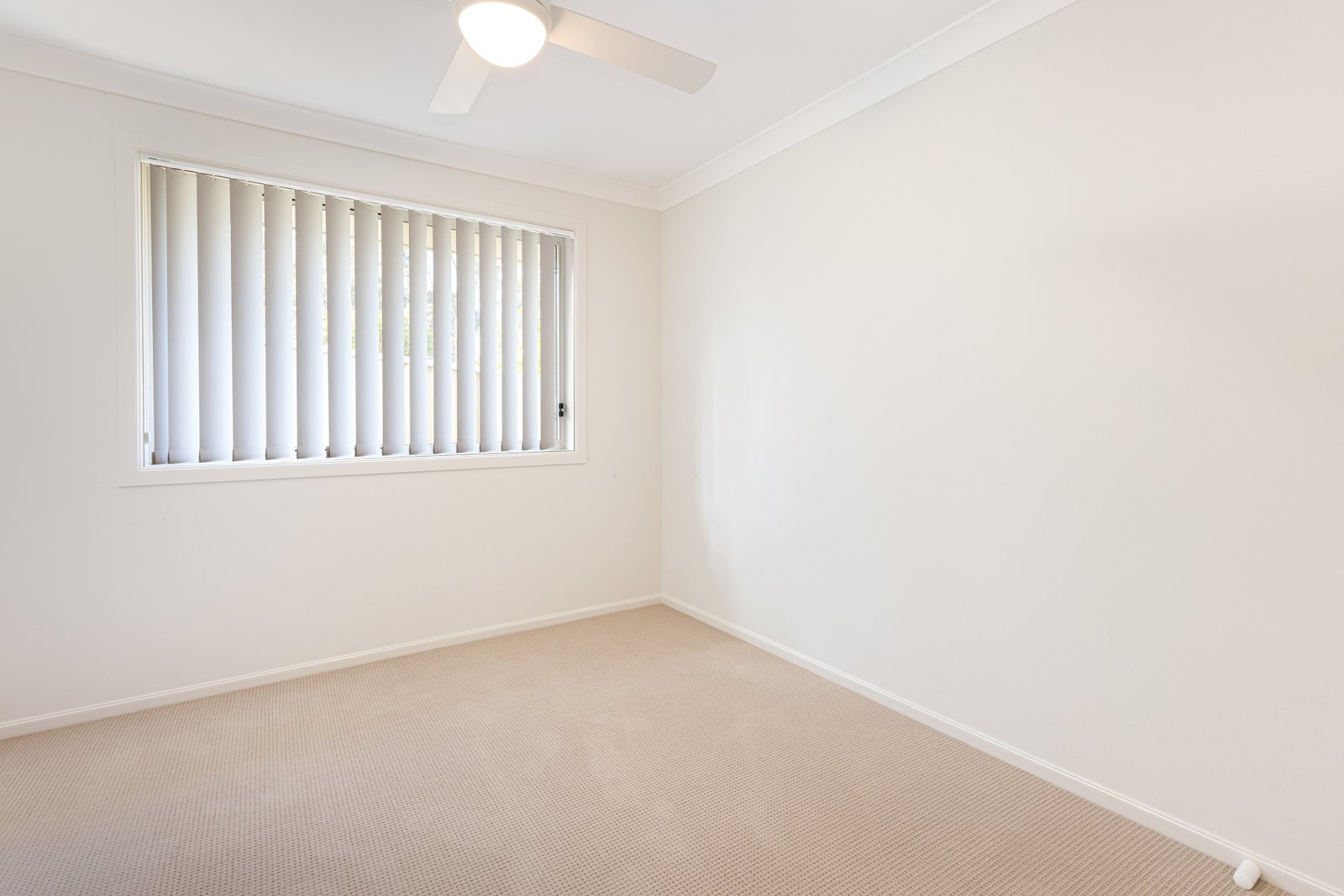 55 Kelly Circle RUTHERFORD 20