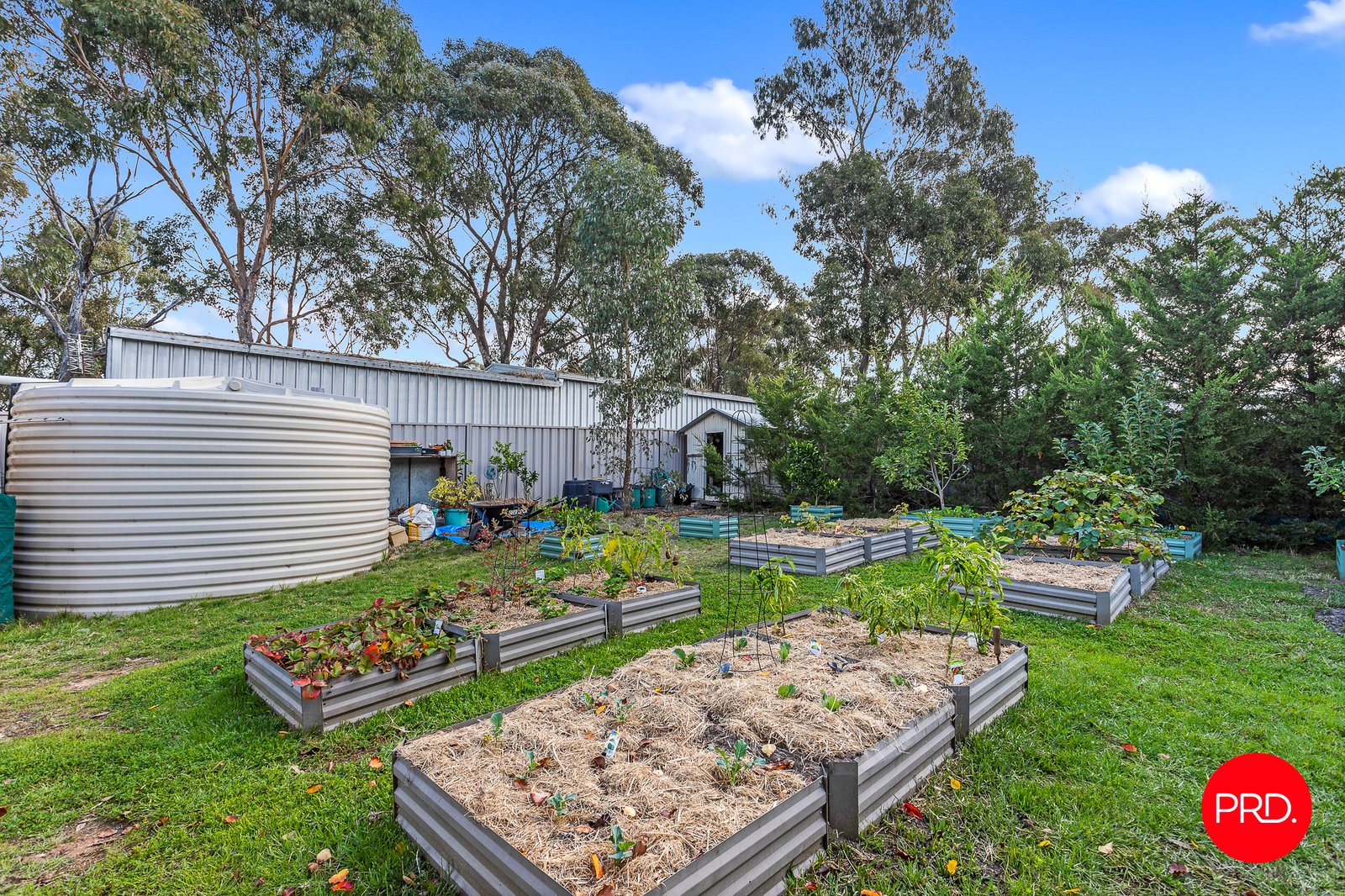 55 Kennewell Street WHITE HILLS 28