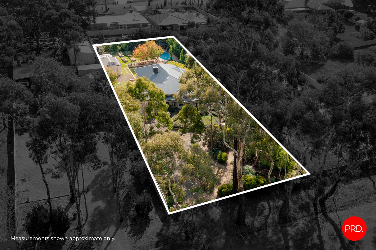 55 Kennewell Street WHITE HILLS 31