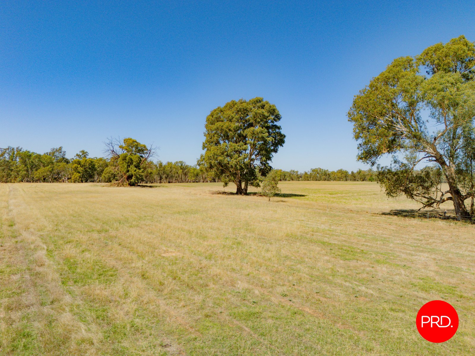 55 Laanecoorie-Newbridge Road NEWBRIDGE 28