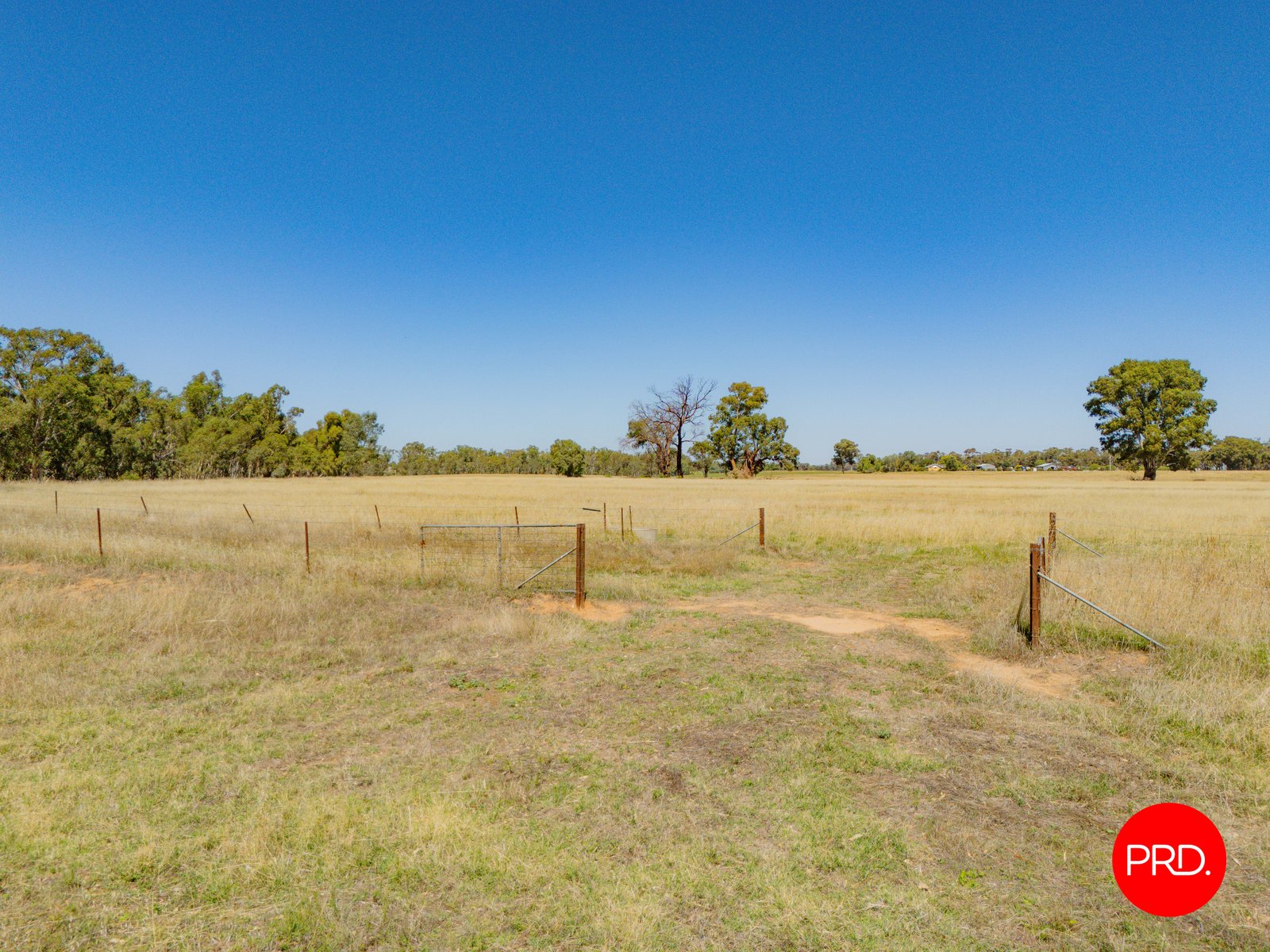 55 Laanecoorie-Newbridge Road NEWBRIDGE 29