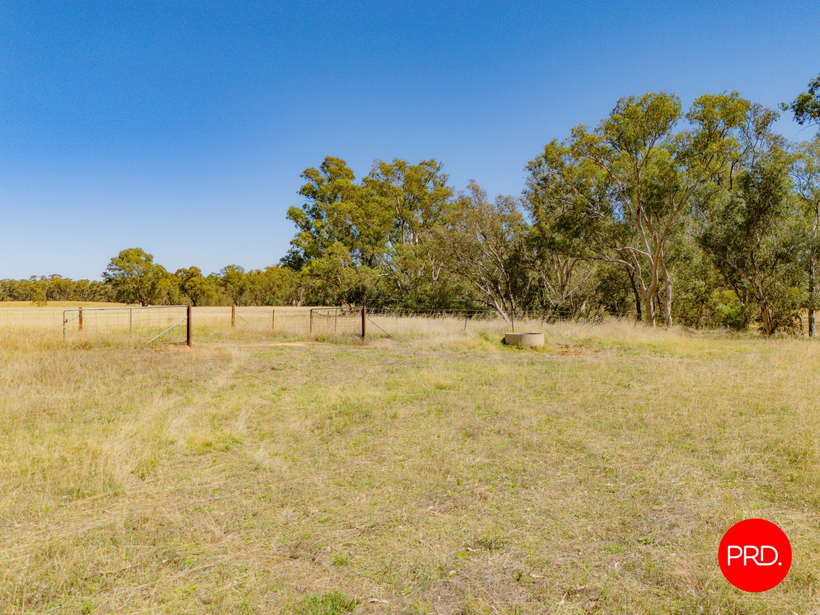 55 Laanecoorie-Newbridge Road NEWBRIDGE 30