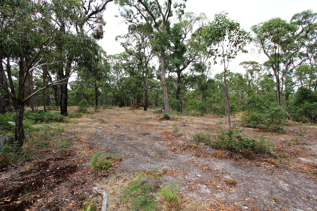 55 Laurence Drive SNAKE VALLEY 14