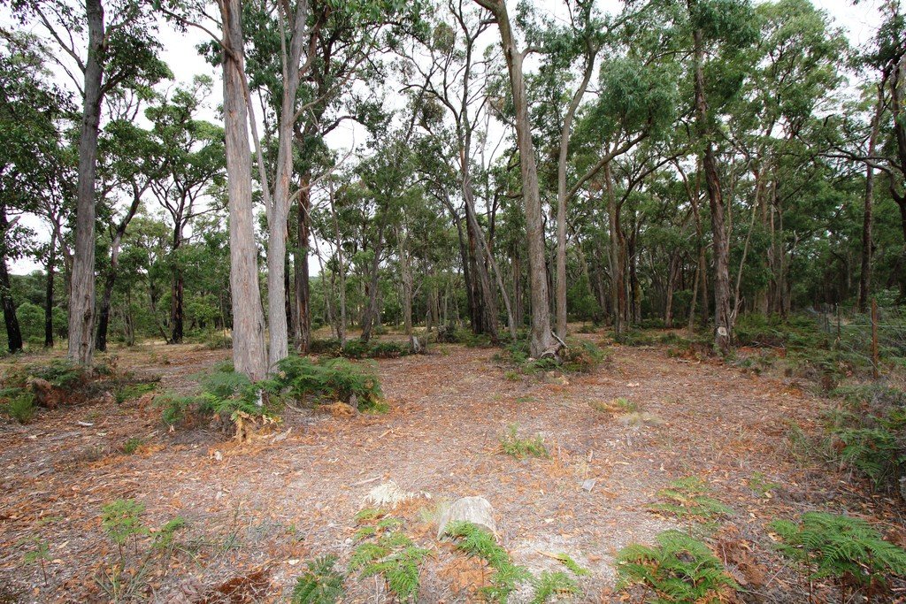 55 Laurence Drive SNAKE VALLEY 15