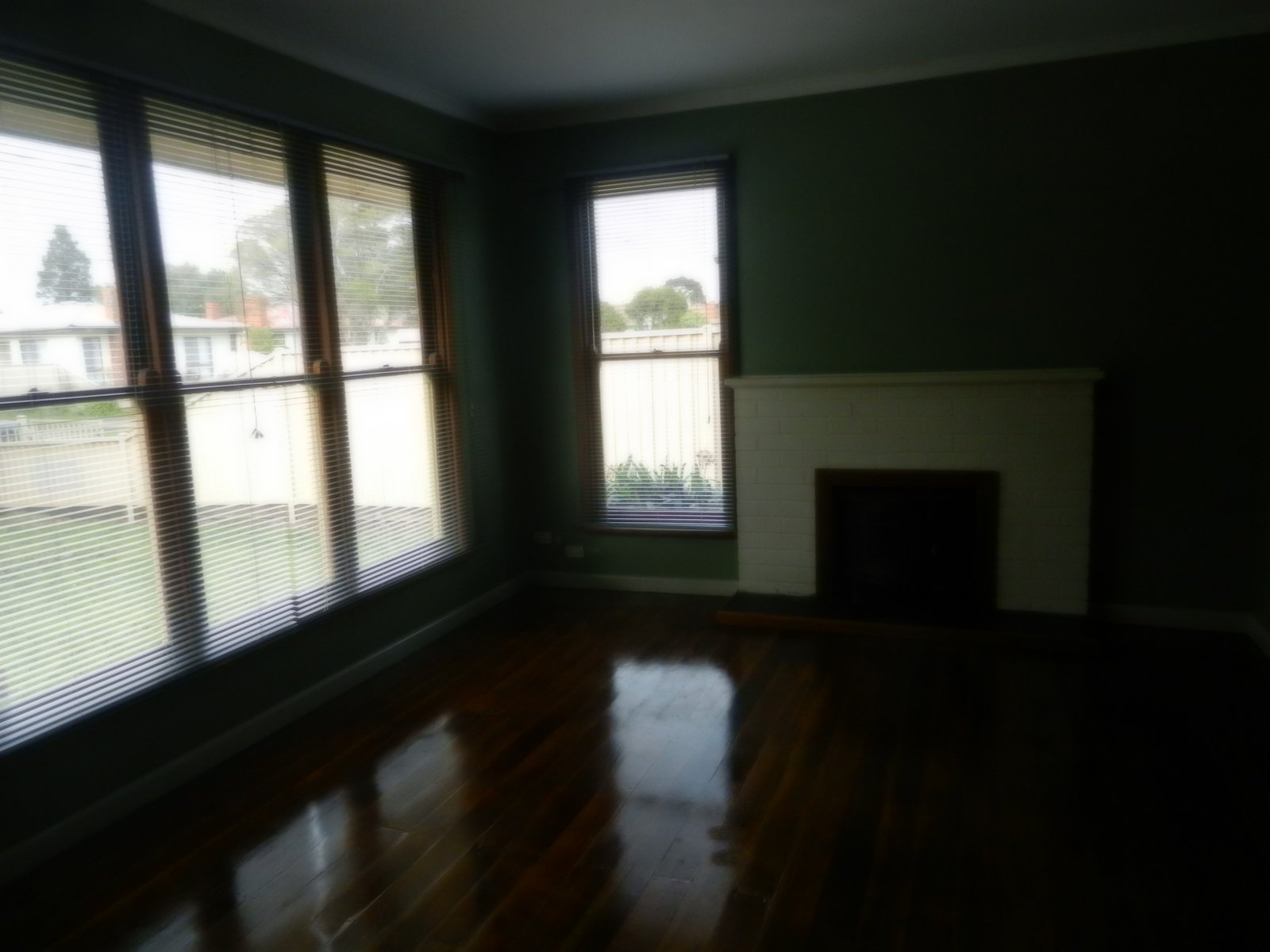 Gallery: 55 Marigold Street