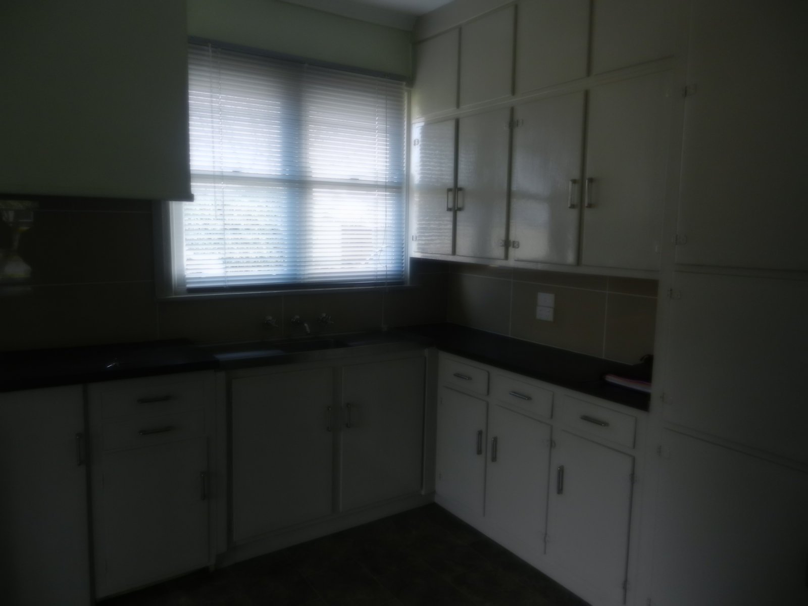 Gallery: 55 Marigold Street