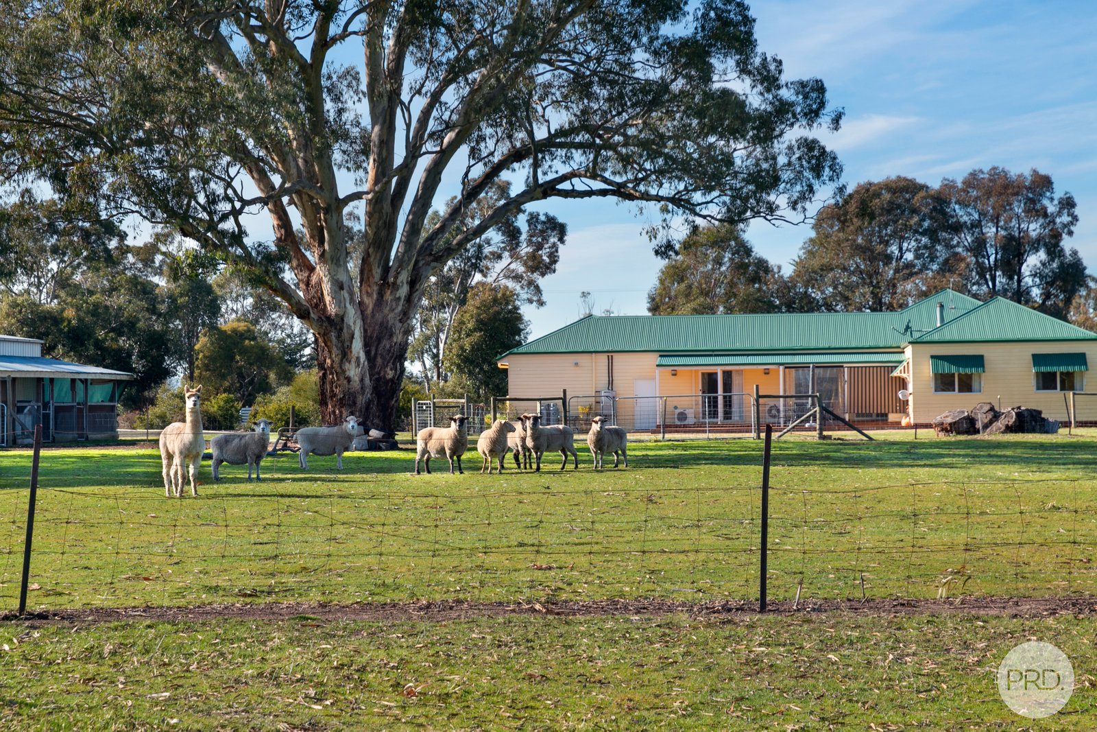 55 McDonalds Road CLUNES 16