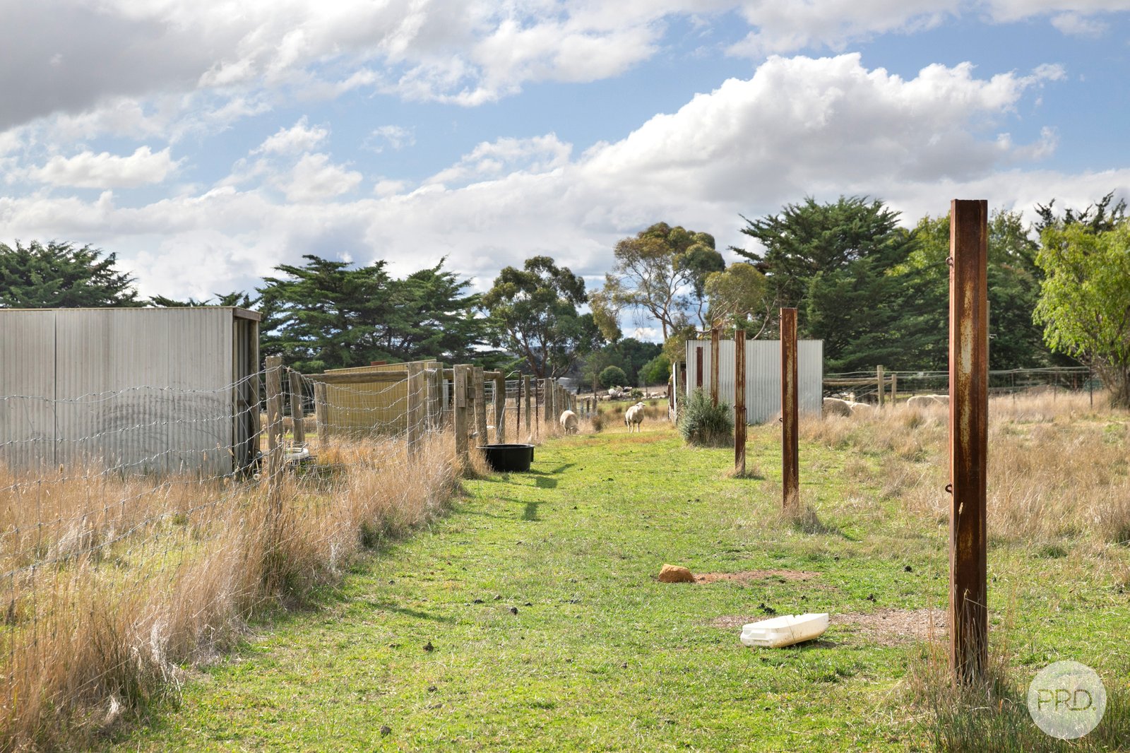 55 Merrifield Road CLUNES 17