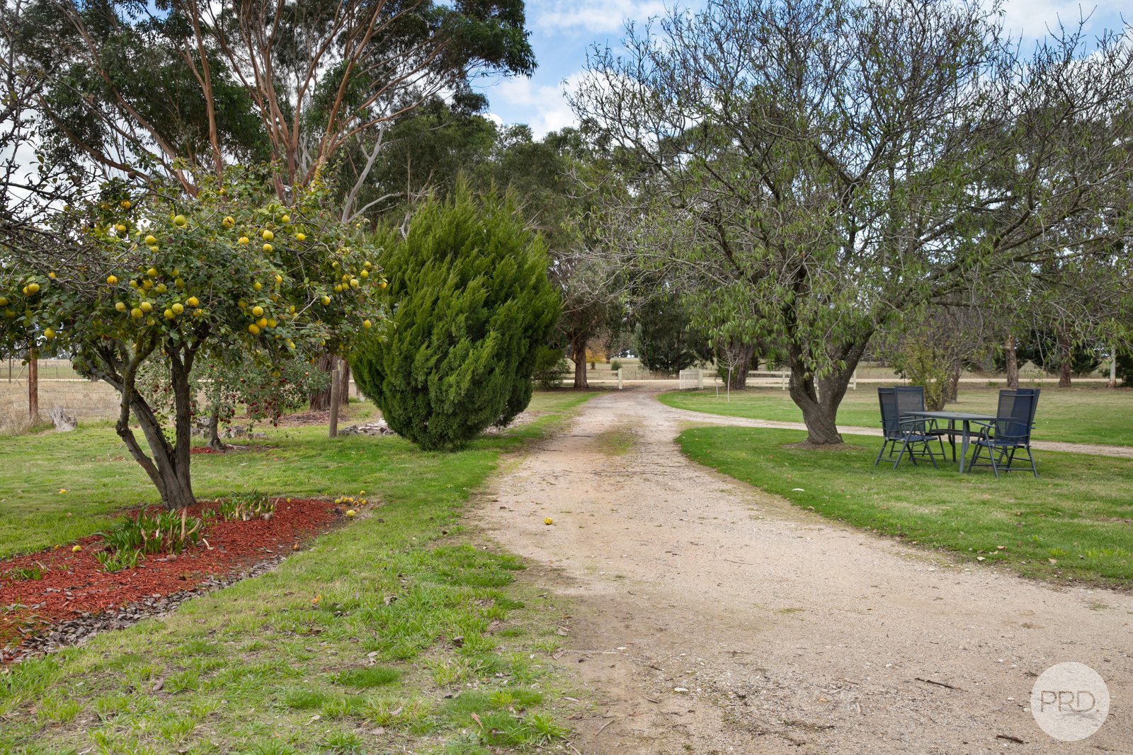 55 Merrifield Road CLUNES 18