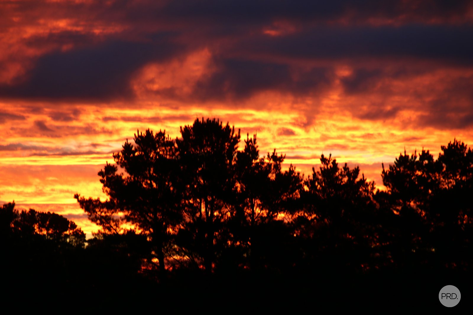 55 Merrifield Road CLUNES 19