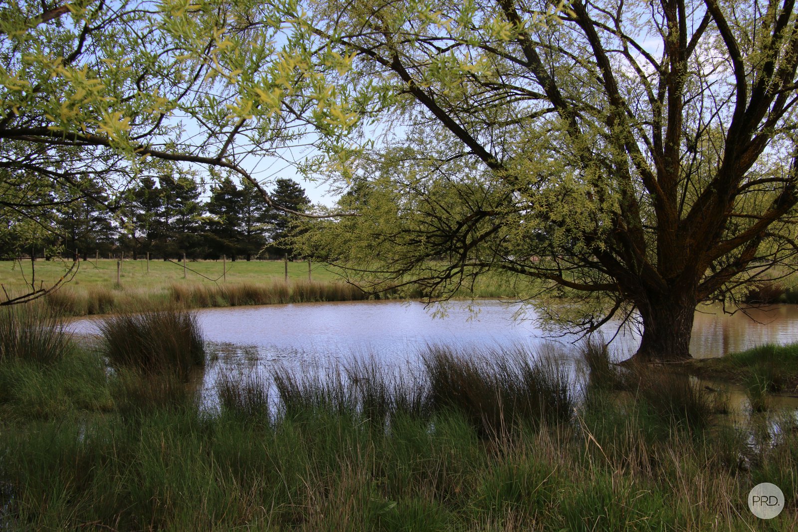 55 Merrifield Road CLUNES 20