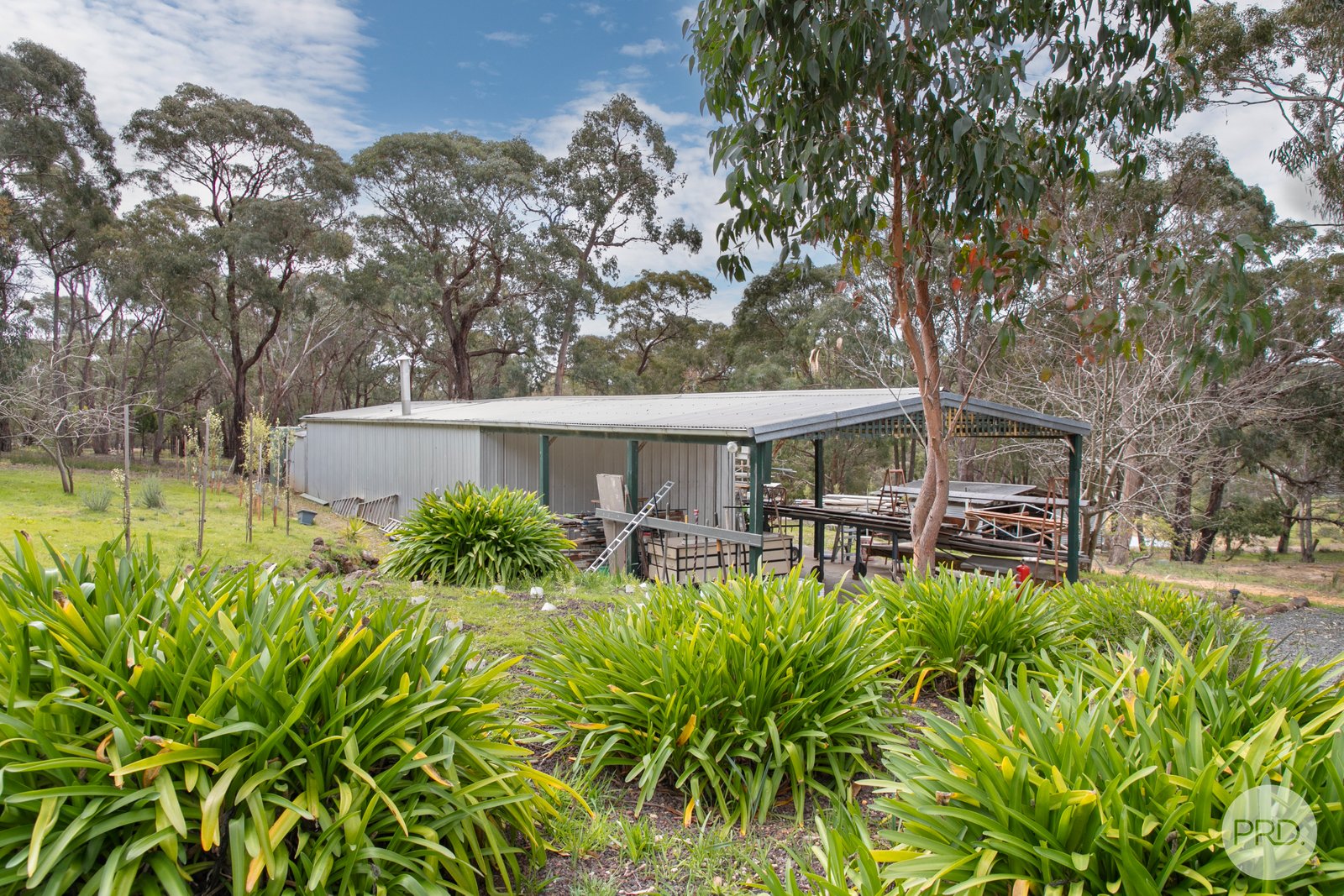 55 Moffats Road DEREEL 16