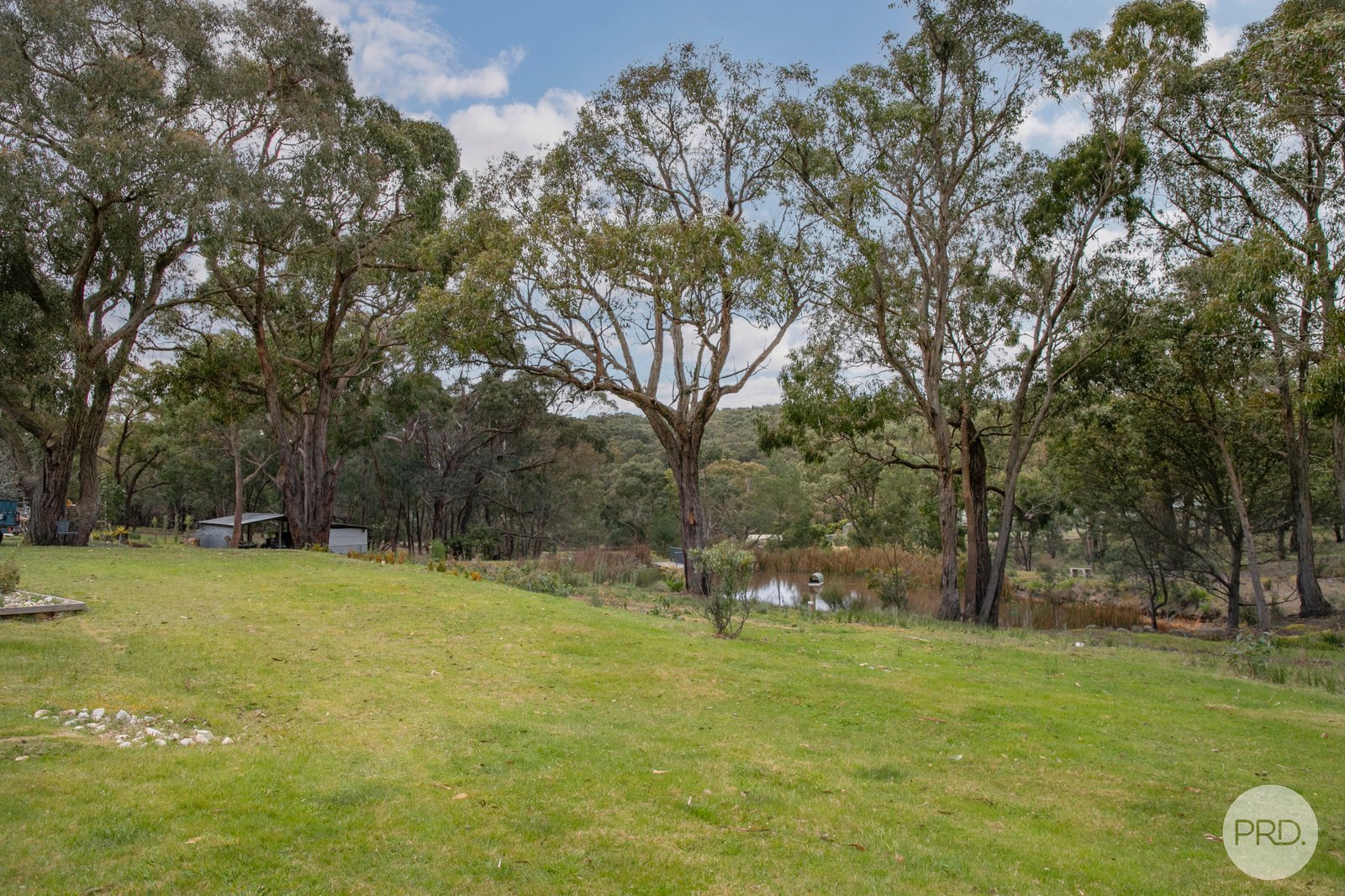 55 Moffats Road DEREEL 18