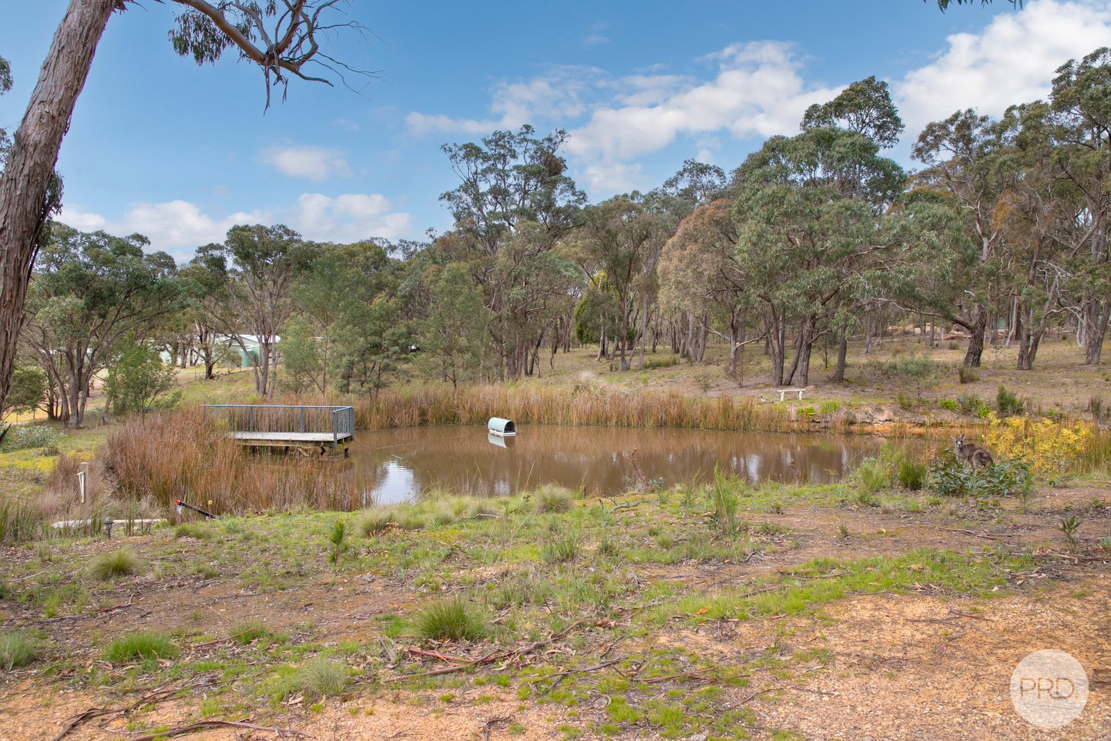 55 Moffats Road DEREEL 20