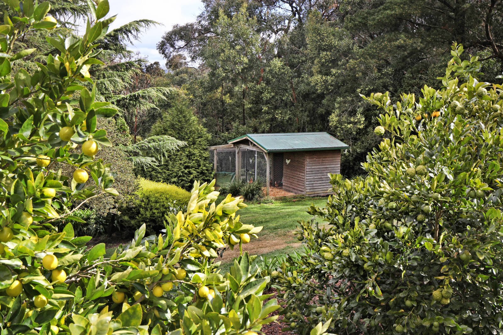 Real Estate and Property in 55 Outawood Rise, Gisborne, VIC