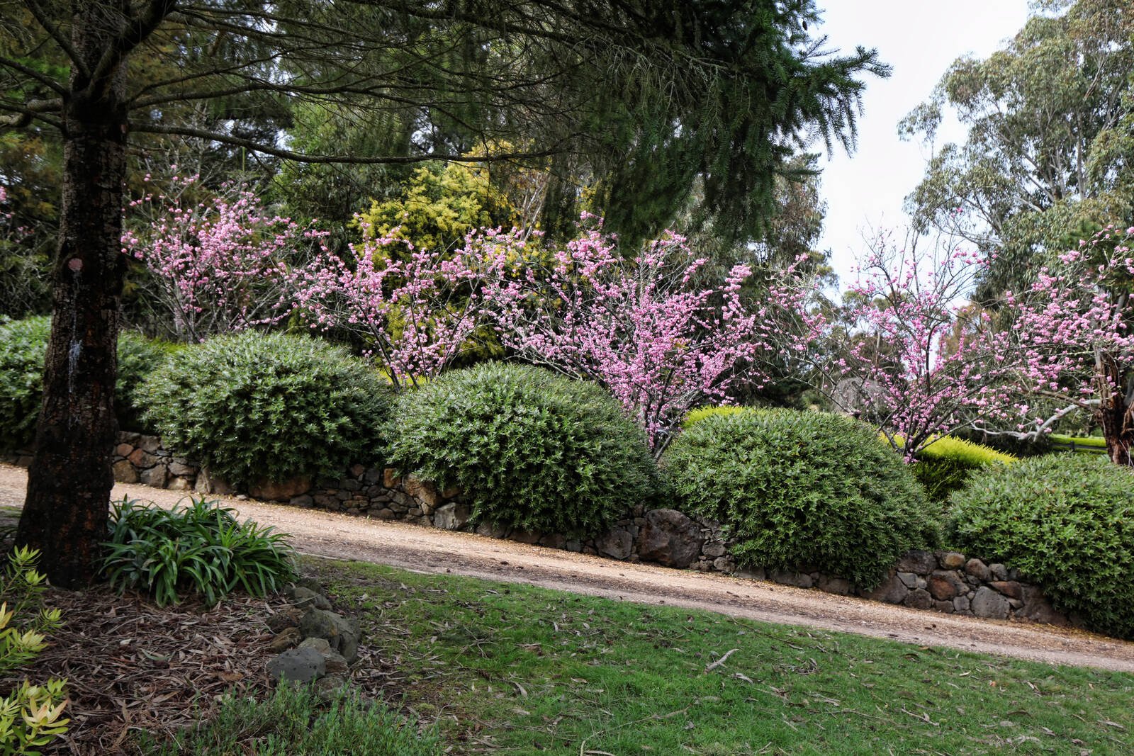 Real Estate and Property in 55 Outawood Rise, Gisborne, VIC