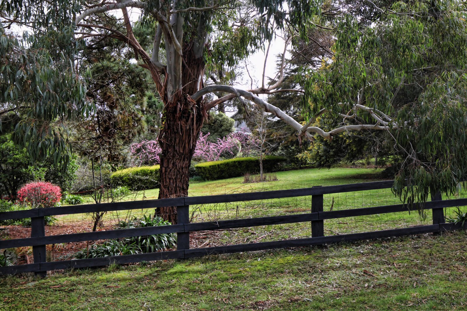 Real Estate and Property in 55 Outawood Rise, Gisborne, VIC