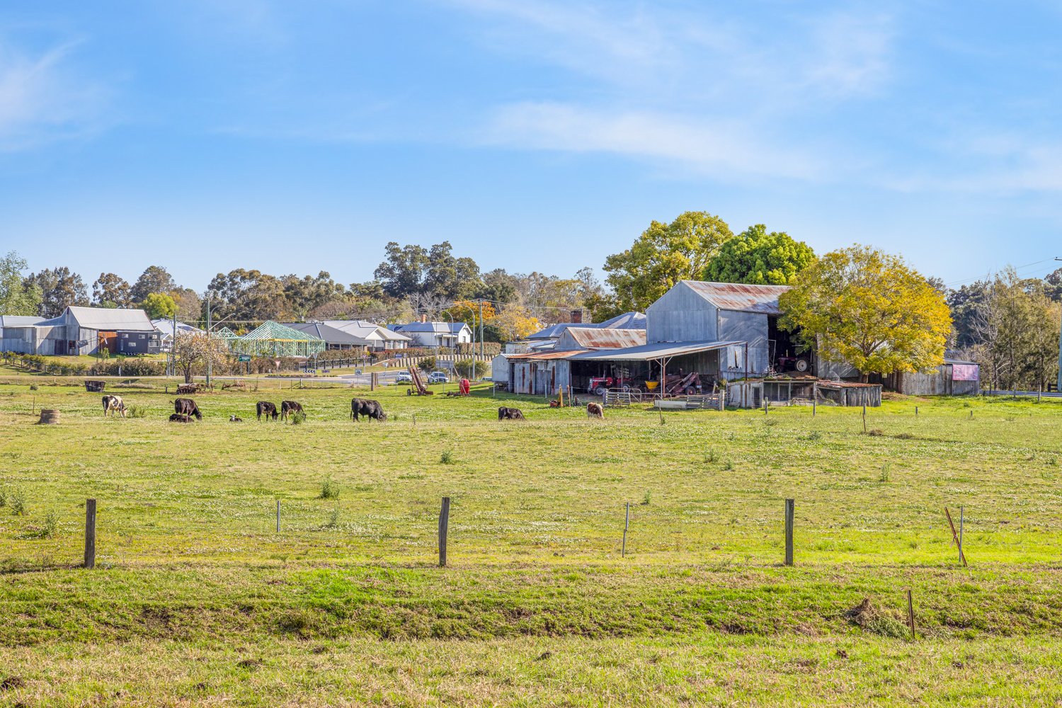55 Paterson Road BOLWARRA 17