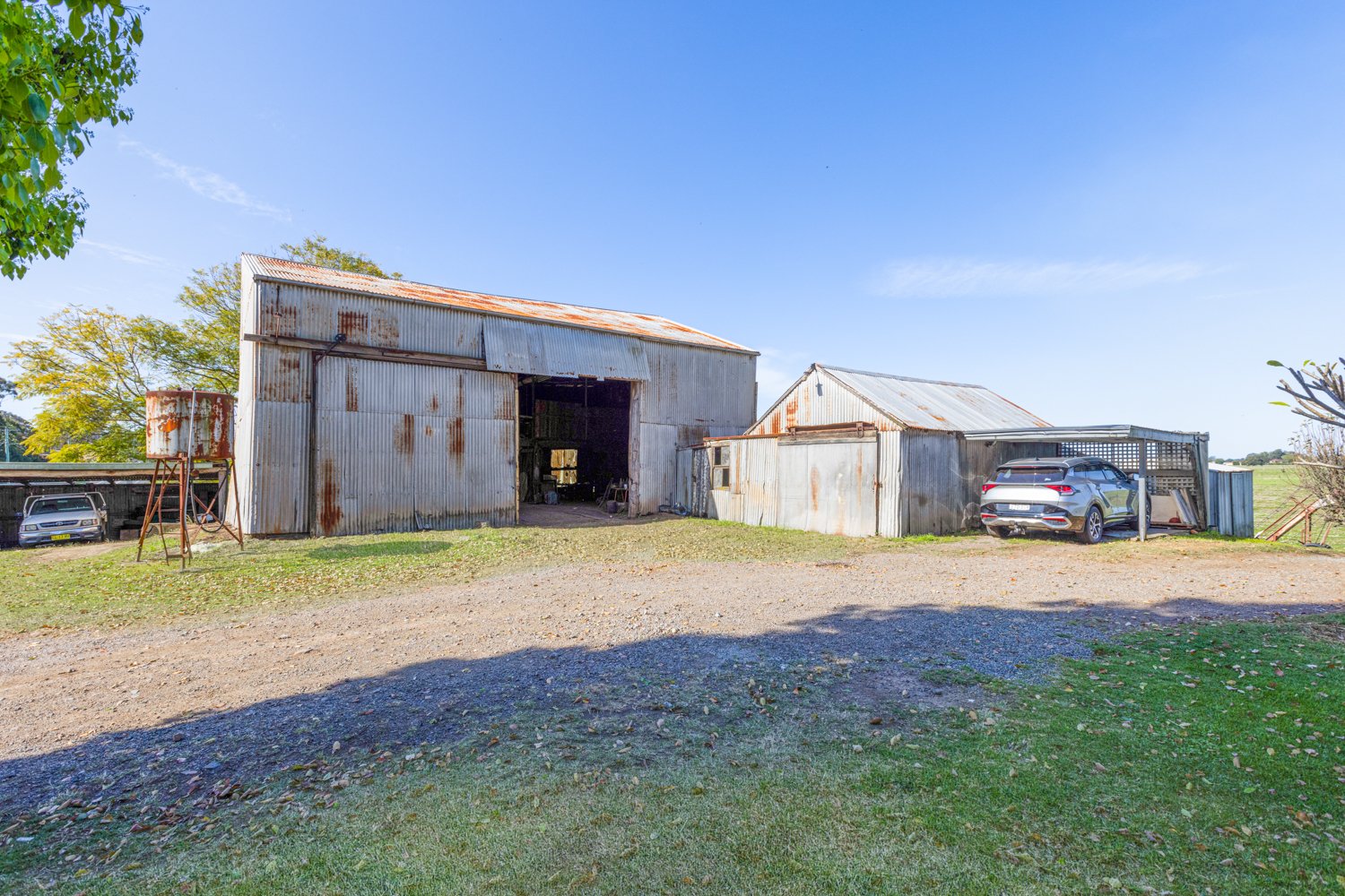 55 Paterson Road BOLWARRA 23