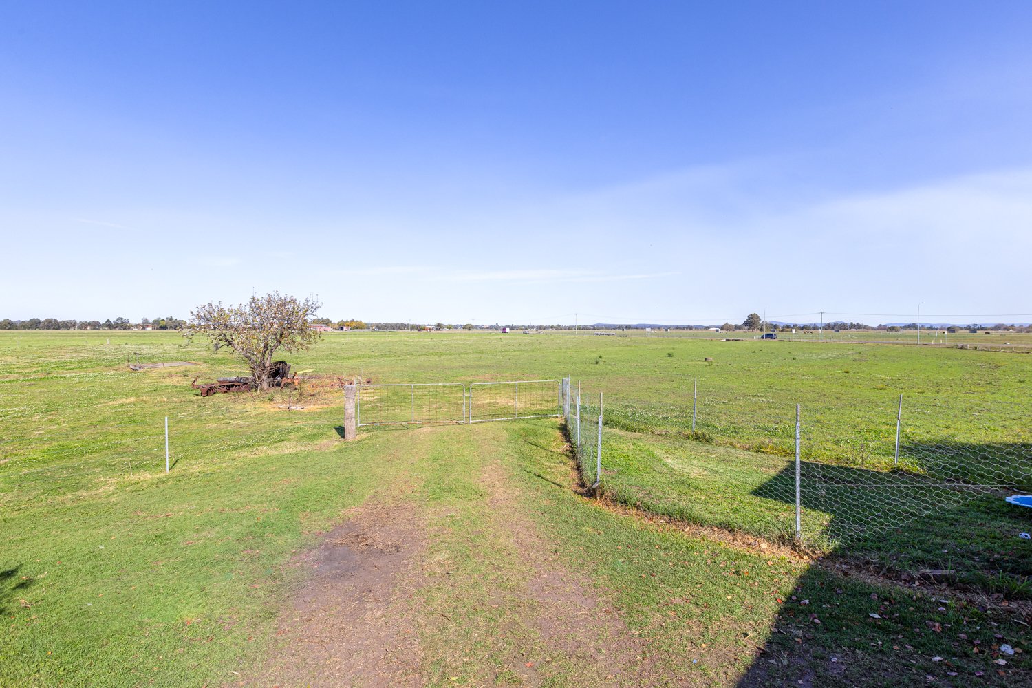 55 Paterson Road BOLWARRA 30