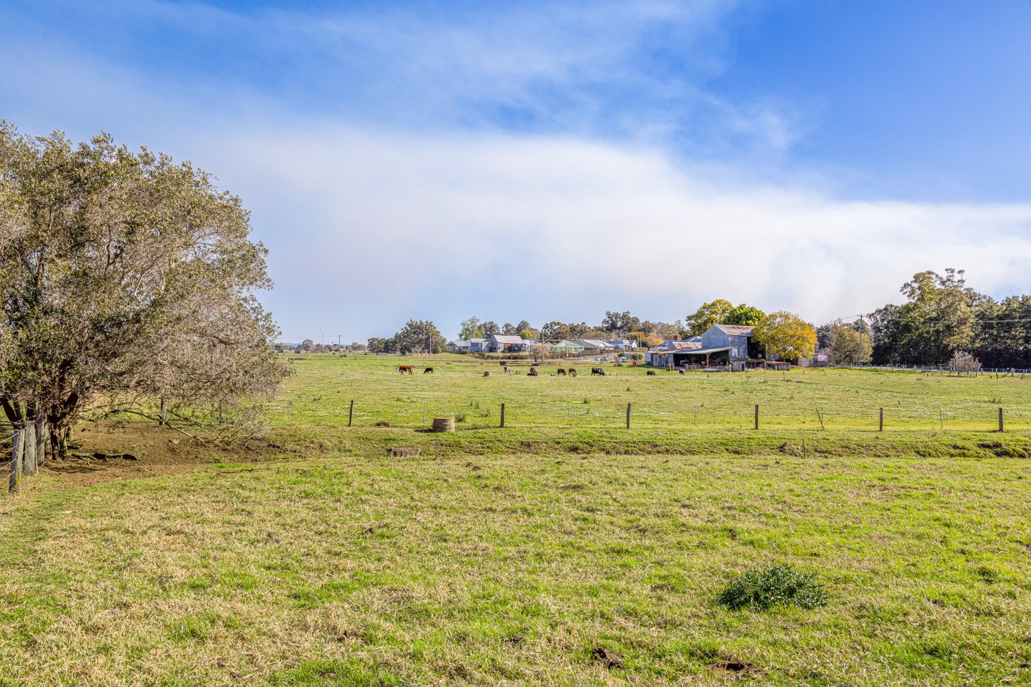 55 Paterson Road BOLWARRA 33