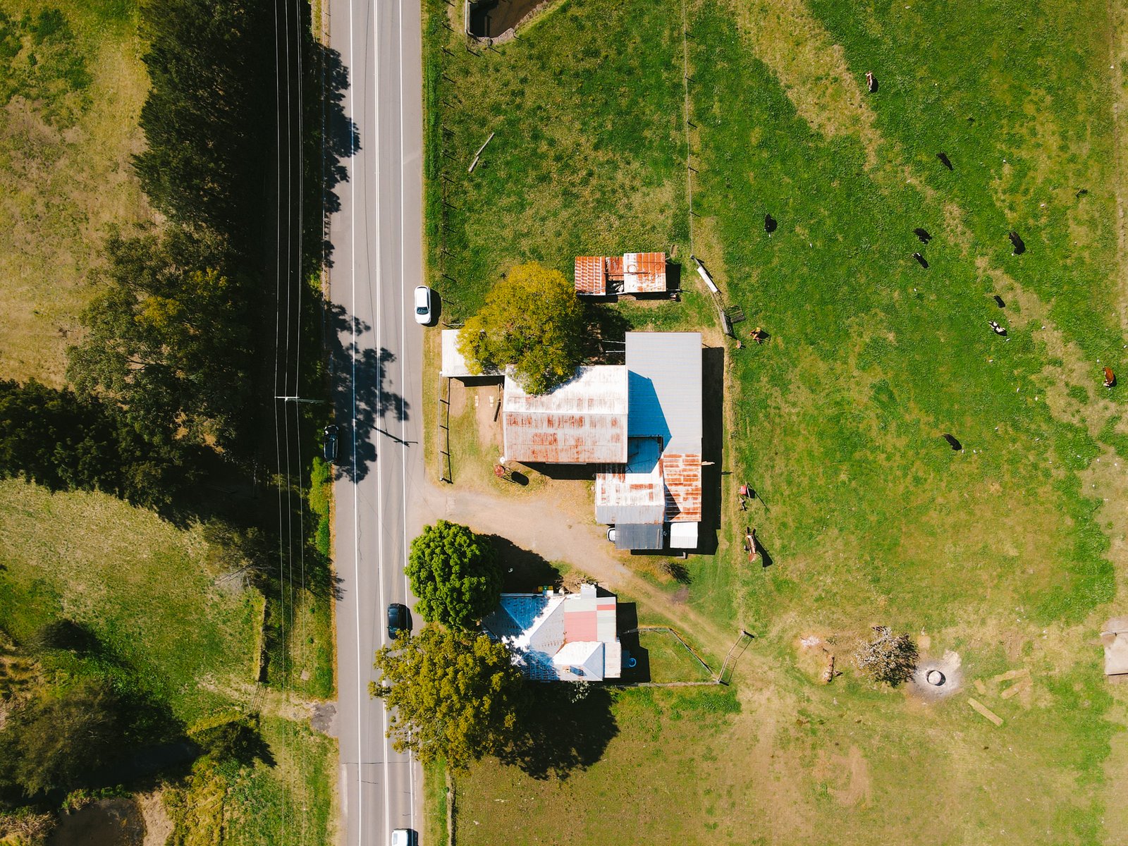 55 Paterson Road BOLWARRA 35