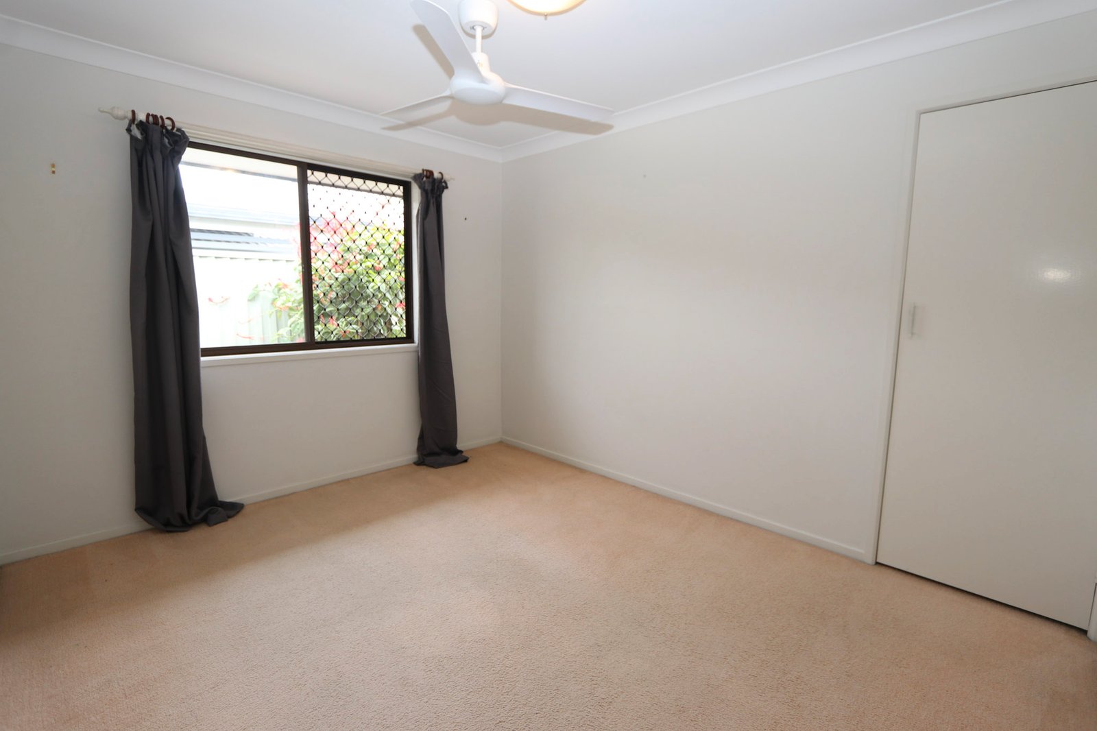 55 Pinkwood Drive ASHMORE 11