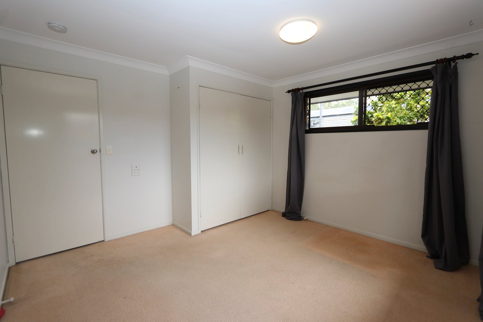 55 Pinkwood Drive ASHMORE 12