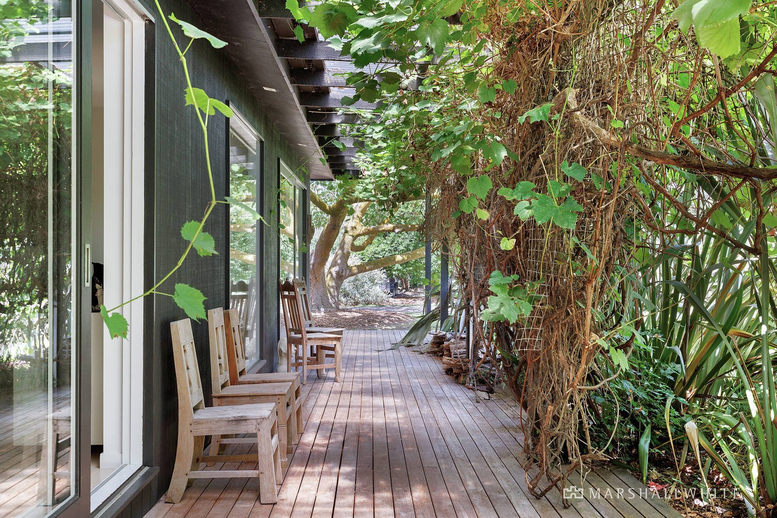 55 Placadena Road, Fingal, VIC