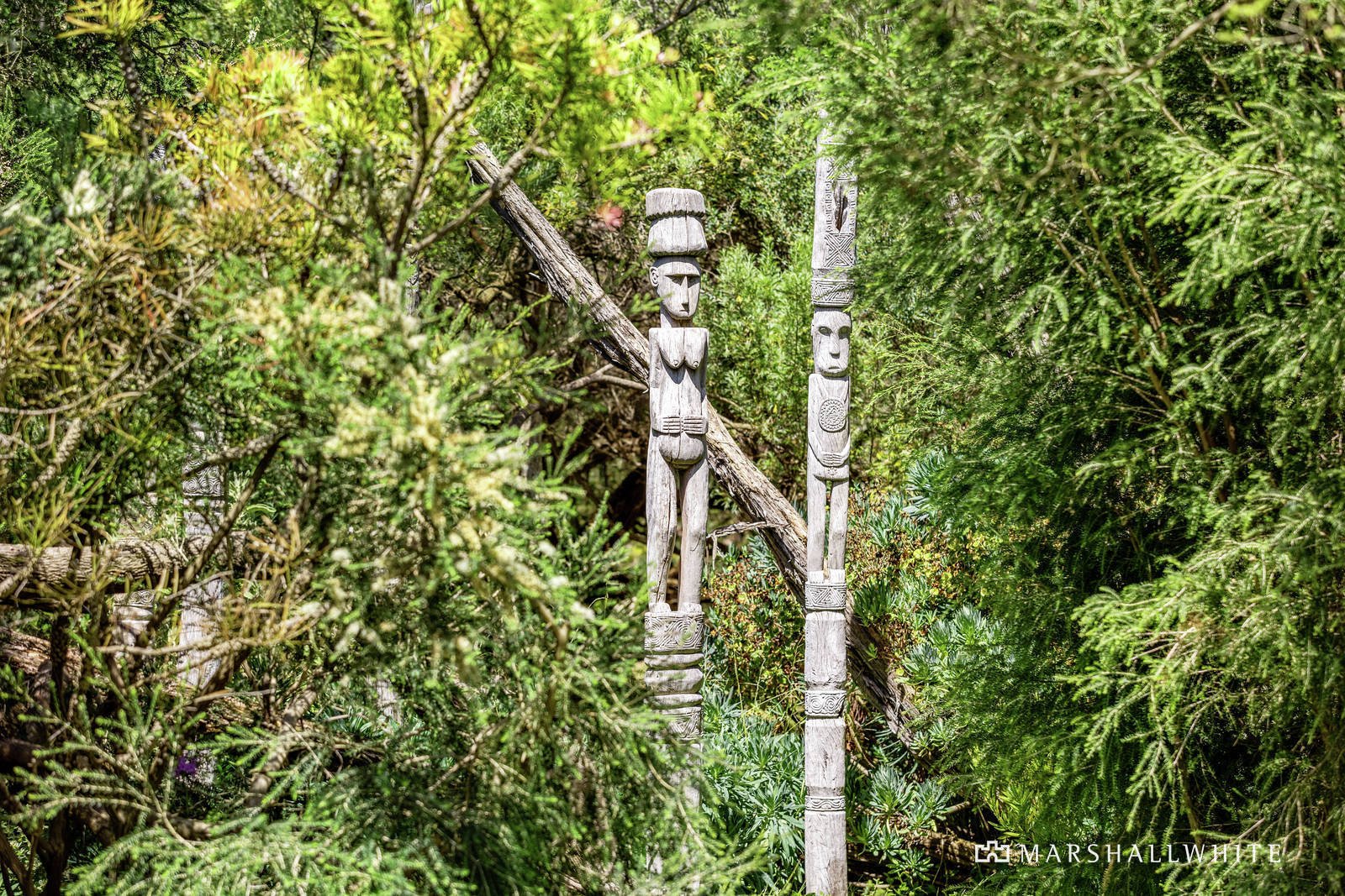 55 Placadena Road, Fingal, VIC