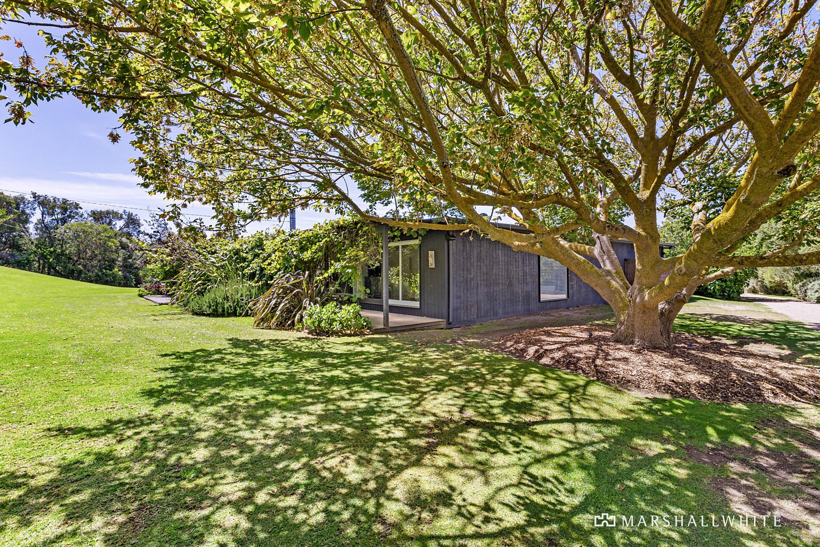 55 Placadena Road, Fingal, VIC