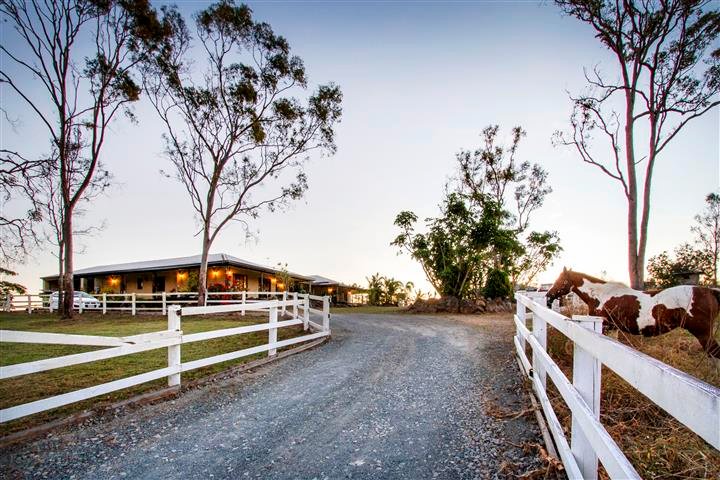 55 Windemere Drive STRATHDICKIE 8