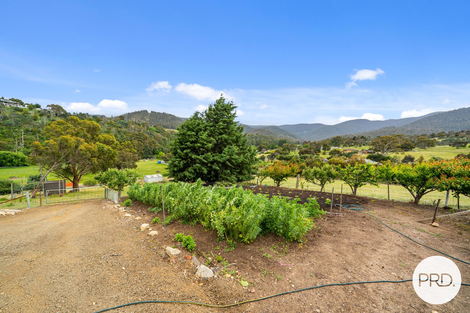 550 Back River Road MAGRA 16