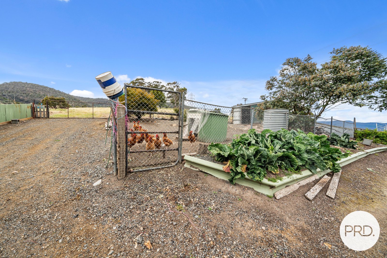 550 Back River Road MAGRA 23