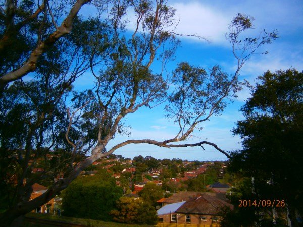 5/51 Victoria Avenue PENSHURST 9