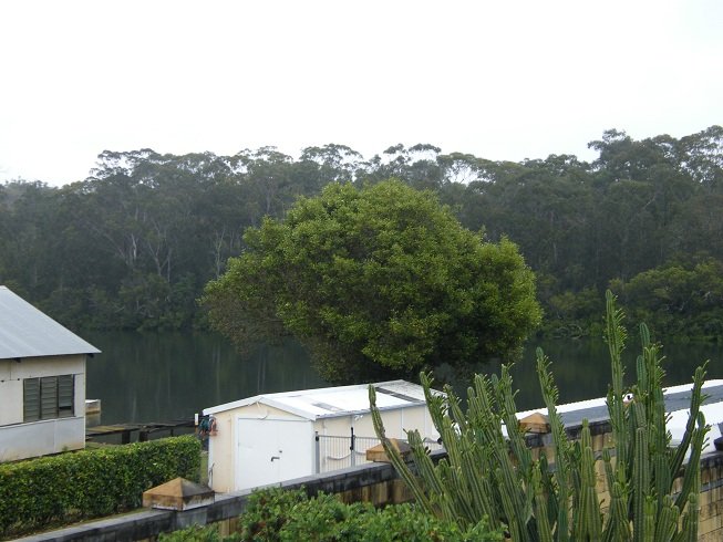 552B Henry Lawson Drive EAST HILLS 1