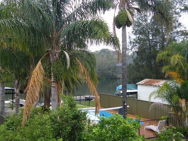 552B Henry Lawson Drive EAST HILLS 9