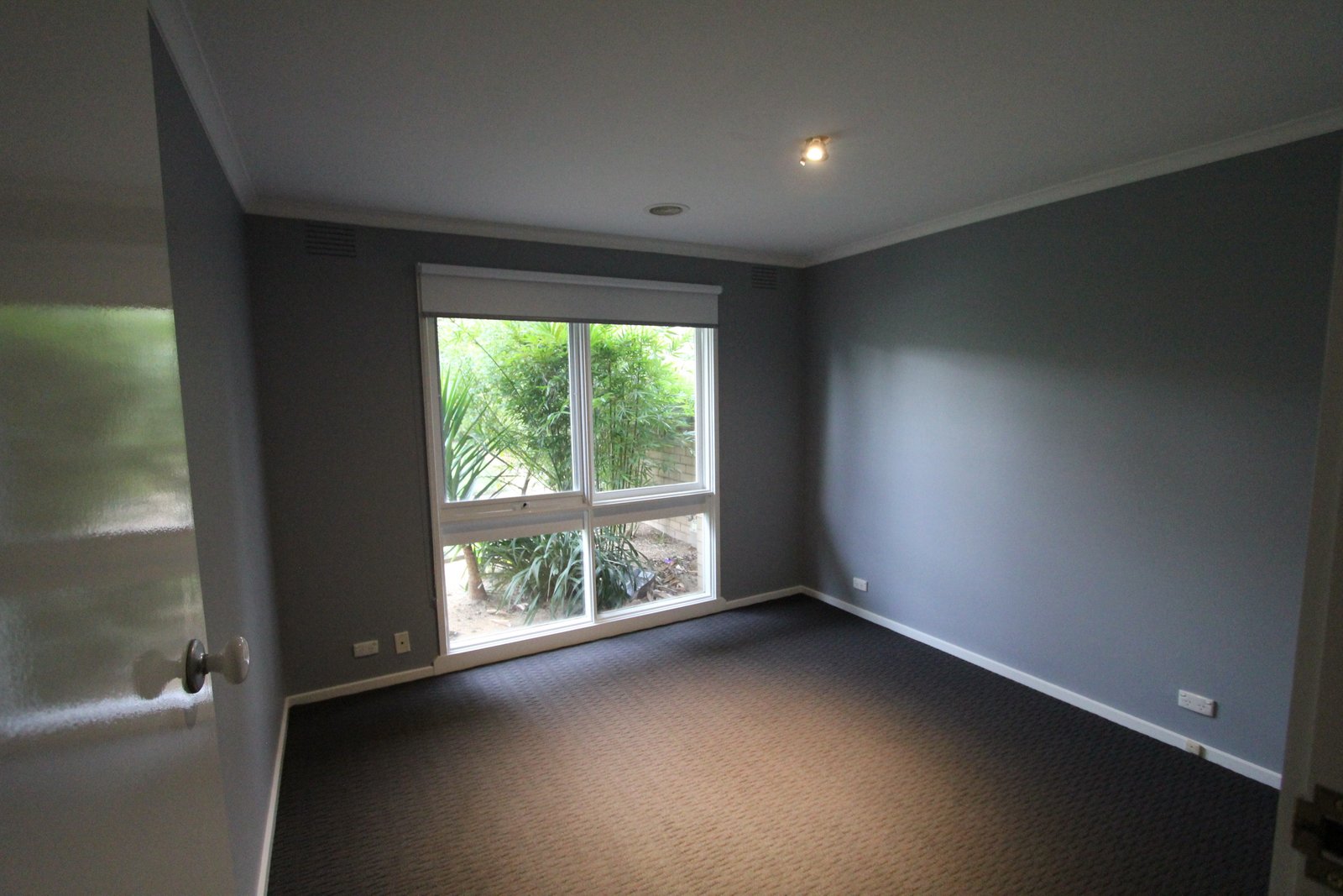 Gallery: 5/56 Red Bluff Street