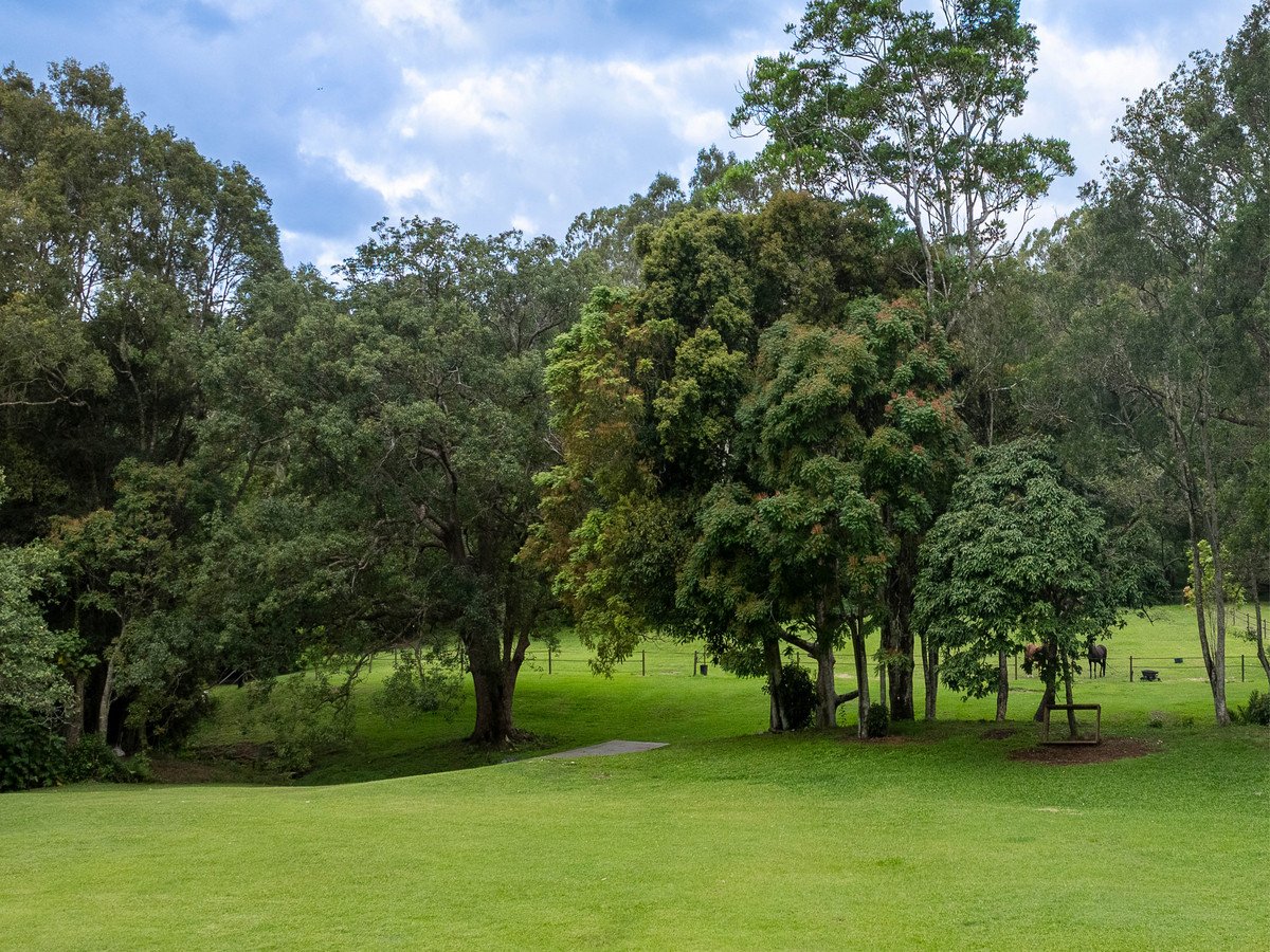 557 Tallebudgera Creek Road Tallebudgera Valley 14