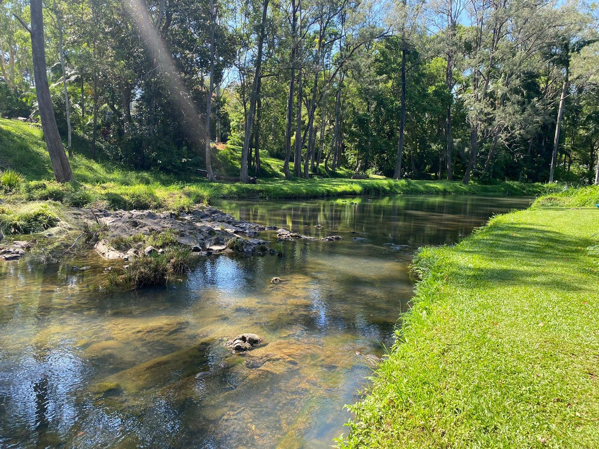557 Tallebudgera Creek Road Tallebudgera Valley 21
