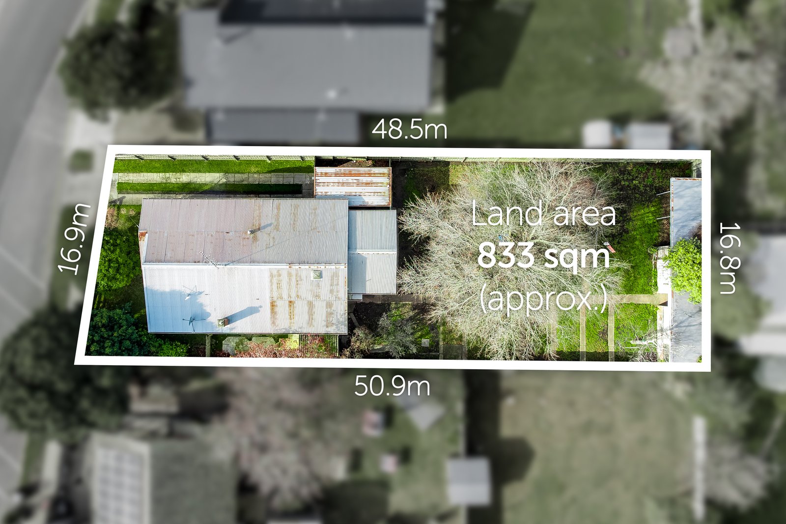 Gallery: 559 Cape Otway Road