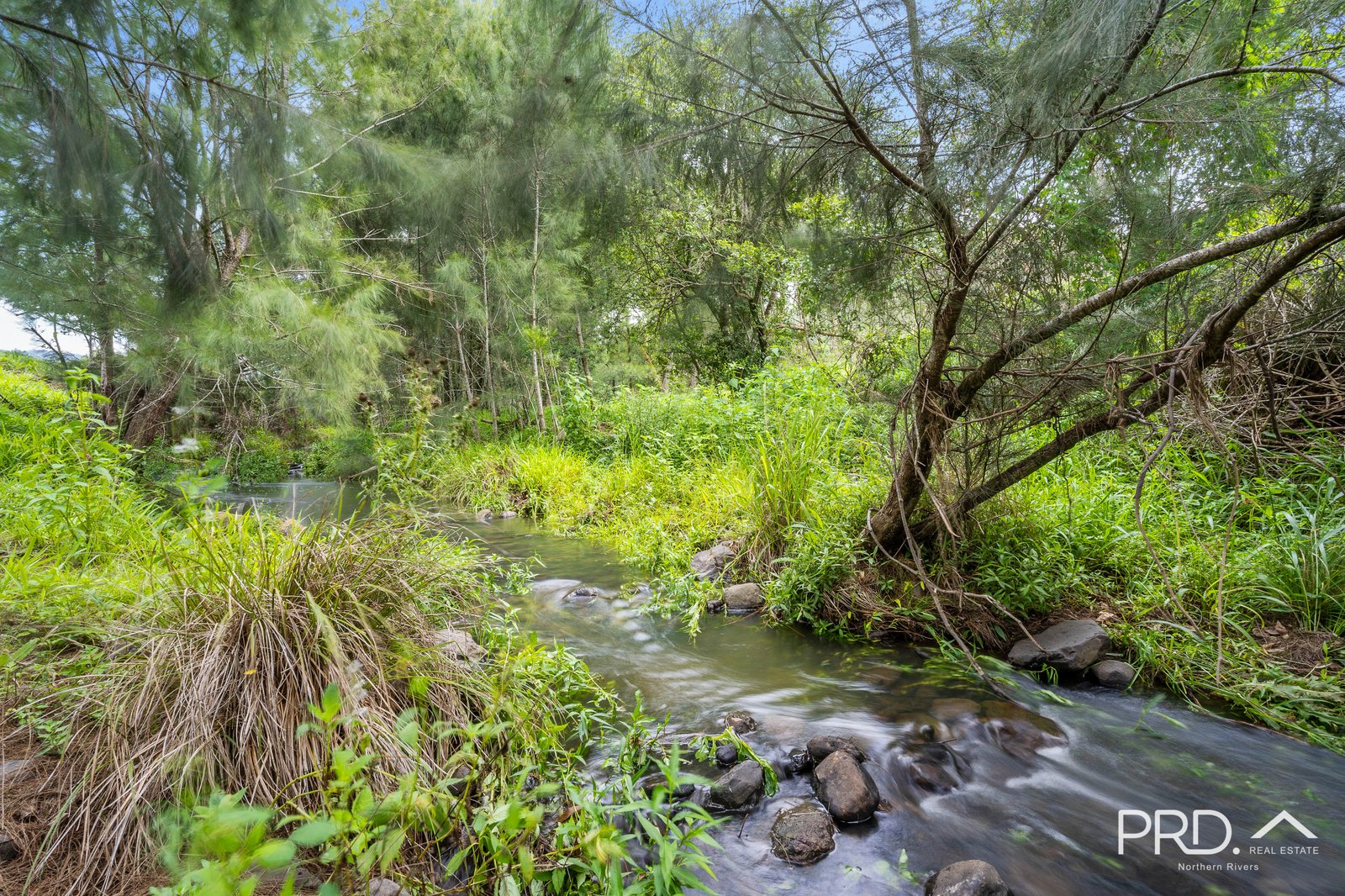 559 Smiths Creek Road, Afterlee via  KYOGLE 2