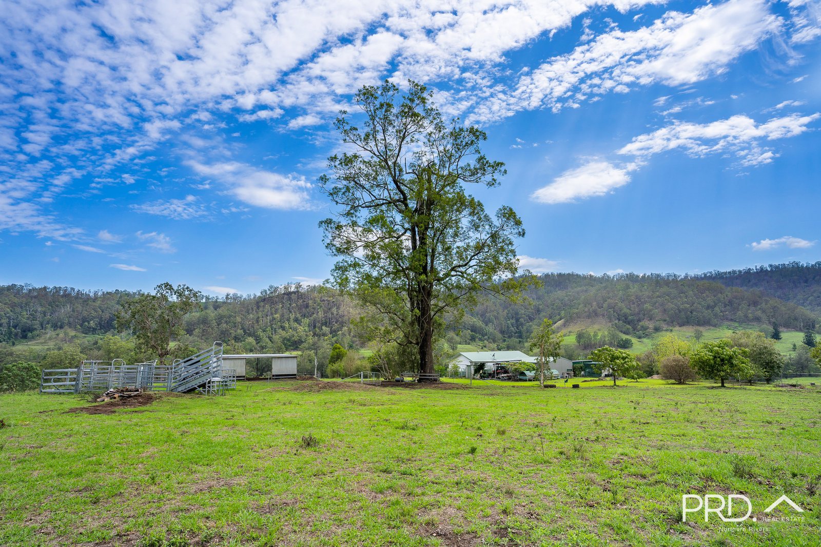 559 Smiths Creek Road, Afterlee via  KYOGLE 6