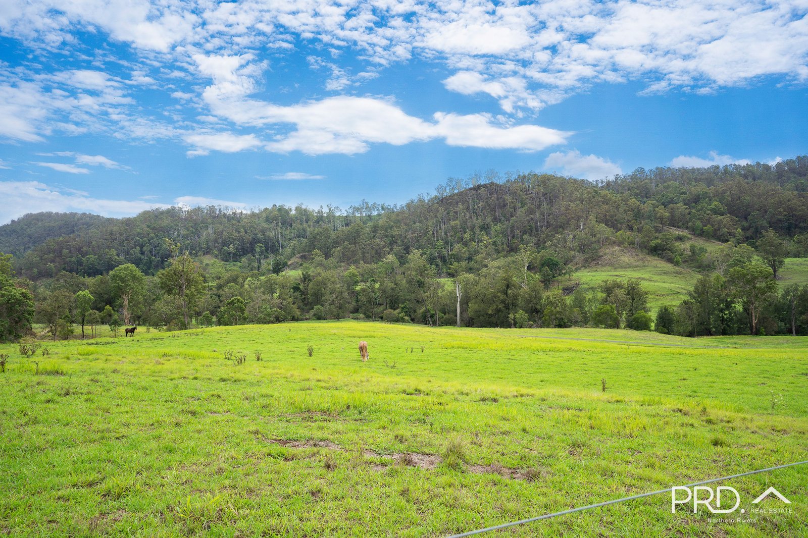 559 Smiths Creek Road, Afterlee via  KYOGLE 16