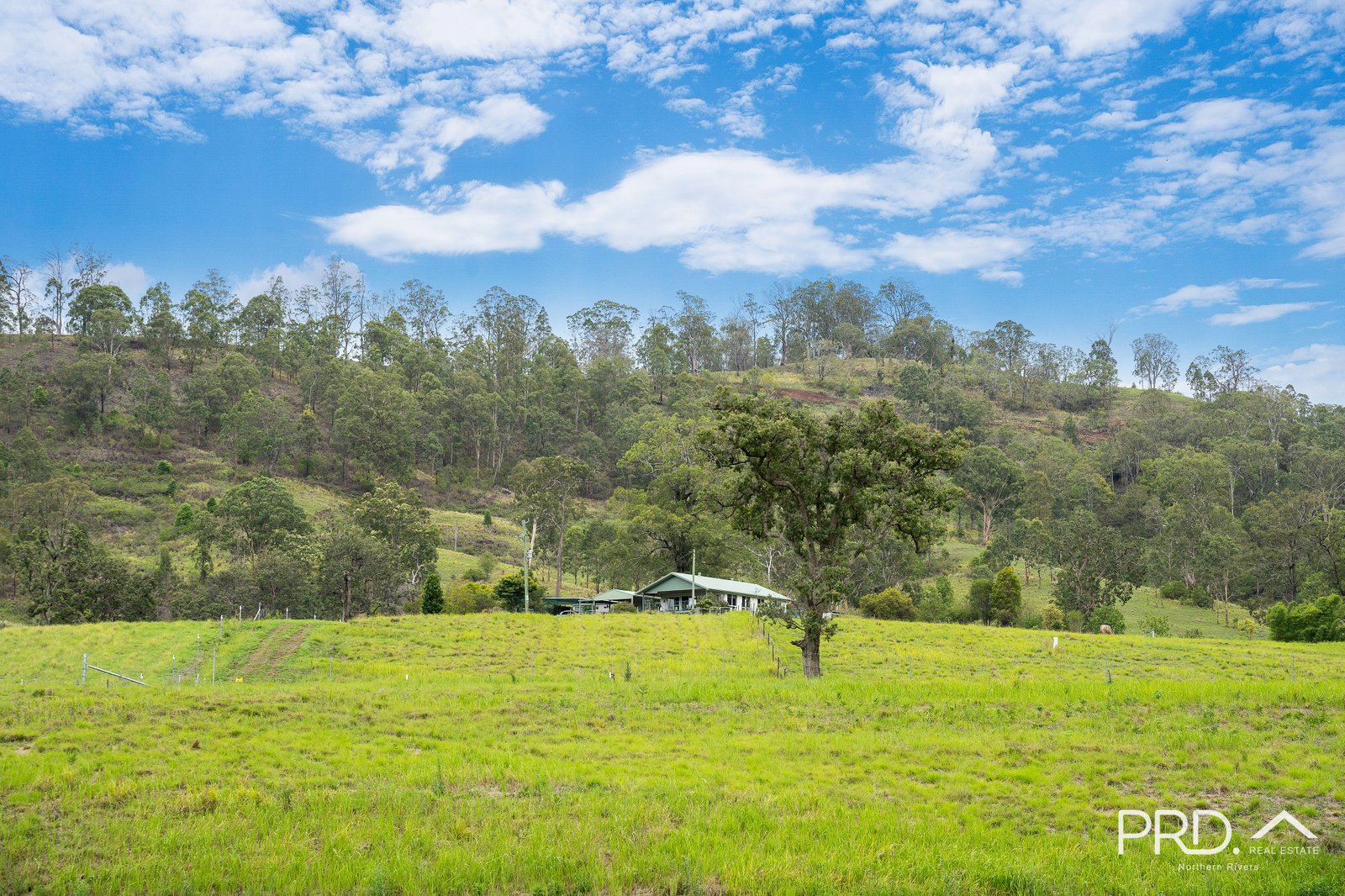 559 Smiths Creek Road, Afterlee via  KYOGLE 17