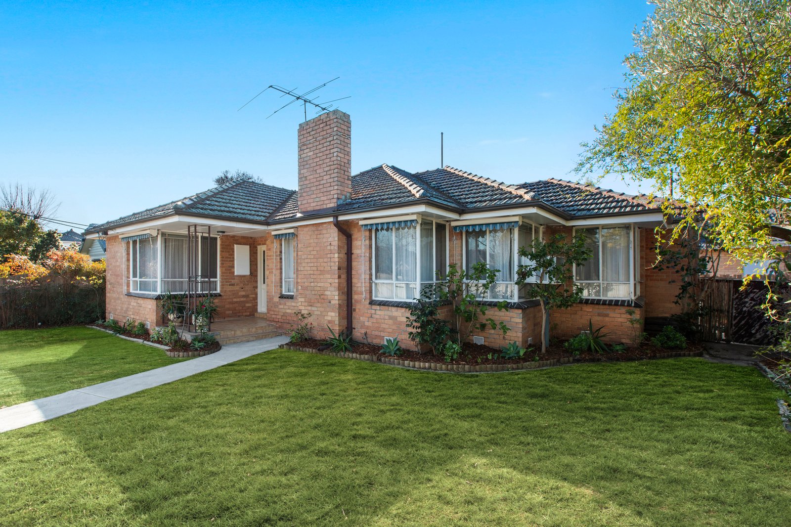 Gallery: 559 South Road